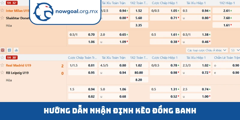 Hướng dẫn nhận định kèo đồng banh