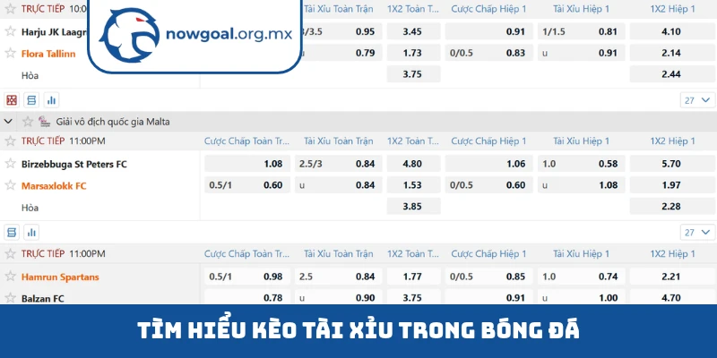 Tìm hiểu kèo tài xỉu trong bóng đá