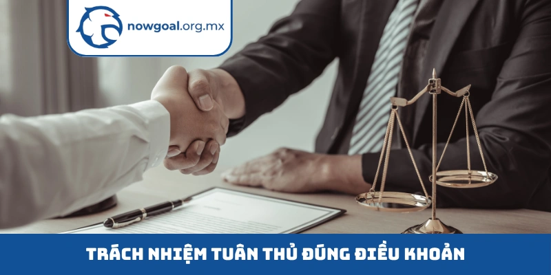 Trách nhiệm tuân thủ đúng điều khoản