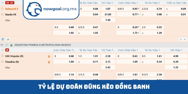 Tỷ lệ dự đoán đúng kèo đồng banh